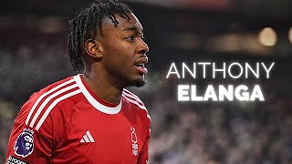 Anthony Elanga  Season Highlights  2024 [upl. by Ahsek]