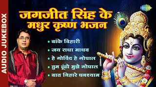 जगजीत सिंह के मधुर कृष्ण भजन  Hey Gobind Hey Gopal  Jai Radha Madhav  Tum Dhondho Mujhe Gopal [upl. by Hassi]