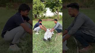 Baba ki govt Job thi 😝 comedy funny shortvideos comedyvideos memes fun shorts trending yt [upl. by Cicily]