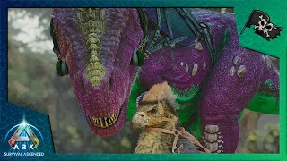 HIGH LEVEL ARGENTAVIS and HIGH LEVEL REX Tame Ark Survival Ascended Ep 5 [upl. by Eelyah]