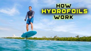 HYDROFOILS  How they work  The basics [upl. by Josephson]