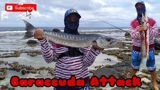 422kg Baraccuda  humanity rod  shimano fx 4000s  tsurinoya lure 12g [upl. by Ahon]