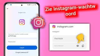 Hoe vind je je Instagramwachtwoord en gebruikersnaam [upl. by Adur654]