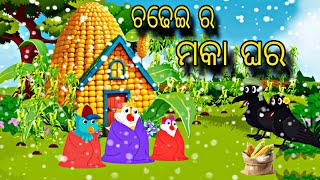 Chadhei Ra Makka Ghara \\ Odia Stories \\ Tiki Chadhei Gapa \\ Bird Story \\ Stories [upl. by Nahgaem]