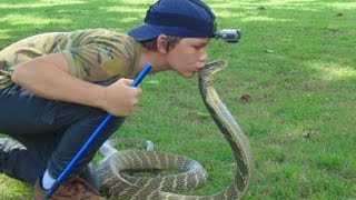 Deadly KING COBRA attack and kiss on head  HD [upl. by Martreb371]