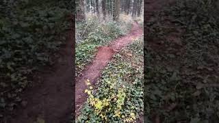 Le meilleur sport le vtt freeride enduro et dh mtb mtbdh mtboffpiste [upl. by Rodmur928]