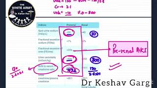 Prerenal Vs Renal Acute Kidney Injury [upl. by Perice505]