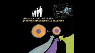 Reckoner  Vitamin String Quartet Tribute to Radiohead [upl. by Carrissa564]