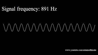 20Hz to 20kHz Human Audio Spectrum [upl. by Norre]