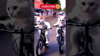 Cycle o cycle hmari sonani cycle Ai Cats viral video shorts catlovers cat ytshorts [upl. by Aikem879]