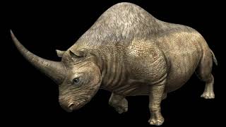 Elasmotherium Caucasicum Siberian Unicorn Rhino Sounds JW [upl. by Novyart]