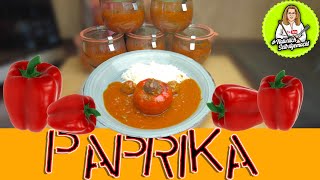 Gefüllte Paprika kochen und einkochen [upl. by Dnaloy716]