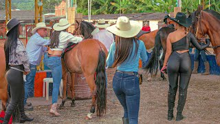 Stunning Women Riding Horses in COLOMBIA 😍 cowgirl rodeo colombia horseriding [upl. by Charbonneau]