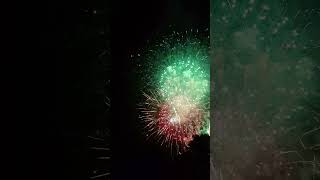 Firework PERFECT 2024 34 in 4K shorts viral fireworks [upl. by Enimrac]