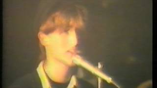 Plavi Orkestar  Mladene live 1983 [upl. by Enyaht]