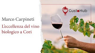 Marco Carpineti Leccellenza del Vino Biologico a Cori  Scopri la Storia e i Viniquot [upl. by Mitchell]