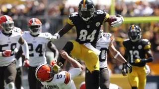 Antonio Brown  Fantasy Football Player Profile [upl. by Aznerol]