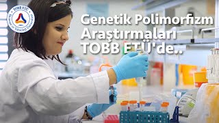 Genetik Polimorfizm Araştırmaları TOBB ETÜde [upl. by Lona]