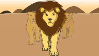 4 Legged Walk Cycle and Run Cycle  Lion [upl. by Bauske]