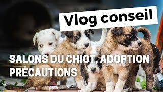 Salon du chiot adoption  précautions [upl. by Lumbye]