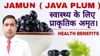 JAMUN  JAVA PLUM  स्वास्थ्य के लिए प्राकृतिक अमृत।  HEALTH BENEFITSDr Kumar Education Clinic [upl. by Shih]