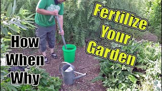 How To Fertilize Your Garden The Correct Way  How When amp Why [upl. by Bertilla]