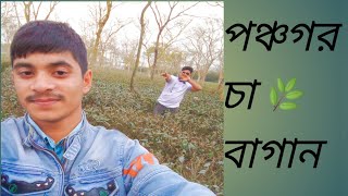 আমরা এখন পঞ্চগড় চা বাগান কাজীর খামার এ।। Full vlogs video।। Abdur rahman porosh । vlogger [upl. by Nnylram]