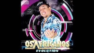 OS AFRICANOS  EVOLUTION  VERÃO 2015 COMPLETO [upl. by Magulac]