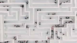 Would You Get Lost in the World’s Largest Snow Maze [upl. by Dnumde]