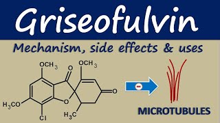 Griseofulvin  Mechanism side effects and clinical uses [upl. by Ydoc]