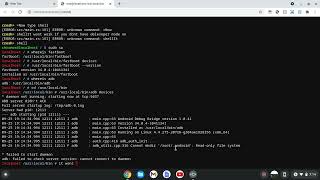 Demo of using ADB and FASTBOOT on chromebook [upl. by Neehar]