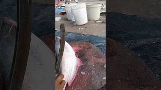 Awesome Big Pangasius Fish Cutting Skills shorts [upl. by Ehling]