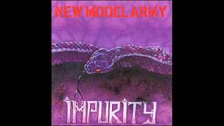 New Model Army  Bury The Hatchet [upl. by Nywnorb]