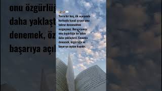 MOTİVASYON Hikayesi 7 keşfet books booktok novel kitap watpadd motivation fyp btwbtwbtw 1 [upl. by Aihsatal879]