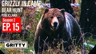 SEASON 2  EP 15  GRIZZLY BEAR IN LLAMA CAMP  BEAR HUNT  🎬 GRITTY 4K FILM [upl. by Racso]