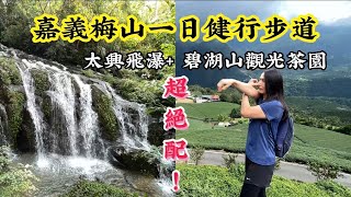 太興飛瀑 碧湖山觀光茶園｜絕配的嘉義梅山一日健行步道！2023828vlog [upl. by Trudnak]