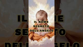 Il Nome Segreto DellAngelo🪽 motivazione saggezza vita [upl. by Tabshey]