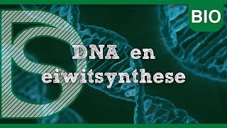 Examen biologie  DNA en eiwitsynthese Celcyclus [upl. by Naujled]