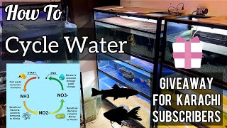 How To Cycle A Fish Tank  Aquarium Ka Pani Cycle Kese Karte  Imrans World [upl. by Hsiri]