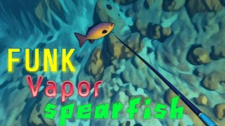 Funk Vapor spearfish [upl. by Sherwood]