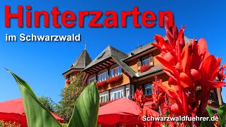 Hinterzarten im Schwarzwald [upl. by Itsirhc]