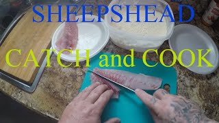 SHEEPSHEAD catch and cook [upl. by Kir446]