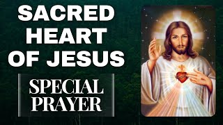 Prayers To The Sacred Heart of Jesus [upl. by Nuyh246]