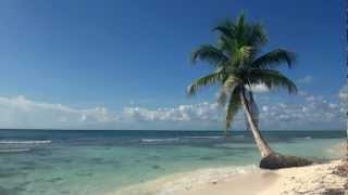 Relaxing 3 Hour Video of A Tropical Beach with Blue Sky White Sand and Palm Tree [upl. by Scharff]