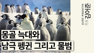 〔월말 김어준〕 직업 집중탐구 2탄 동물 연구가 동물 최현명 이원영 [upl. by Hannibal]