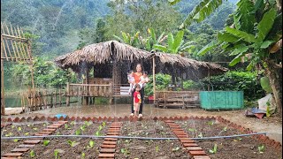 Single Mother  Building a Vegetable Garden With Automatic Watering System  Ly tieu tieu [upl. by Weissmann]