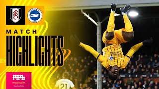 HIGHLIGHTS  Fulham v Brighton  Premier League [upl. by Leivad]