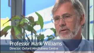 Introdução a Mindfulness  Prof Mark Williams  INICIATIVA MINDFULNESS [upl. by Ahsiuqat]