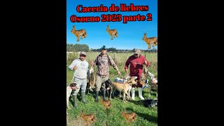 CORRIENDO LIEBRES EN OSORNO 2023 PARTE 2 [upl. by Aleyak]