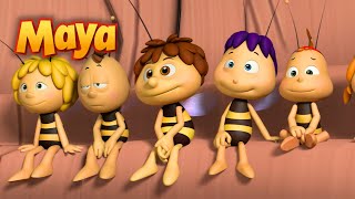 MAYA Y WILLY YA ESTÁN LISTOS PARA LA VUELTA AL COLE 🐝 CAPÍTULOS DE MAYA para niños en ESPAÑOL 🐝 [upl. by Itnaihc]